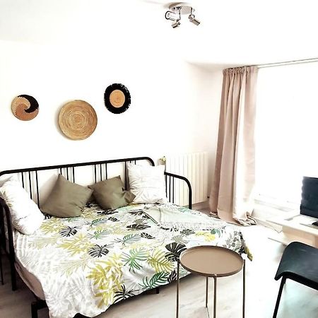 Studio Coquet Avec Vue Sainte-Foy-lès-Lyon Eksteriør bilde