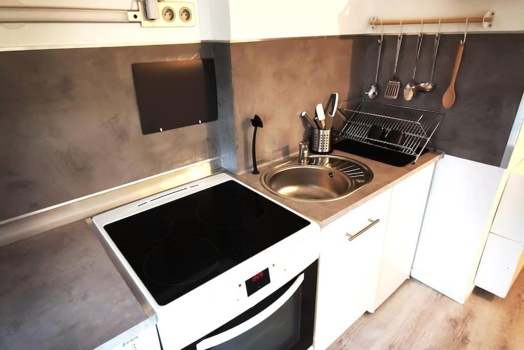 Studio Coquet Avec Vue Sainte-Foy-lès-Lyon Eksteriør bilde